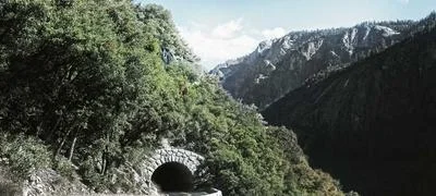 企业营销推广